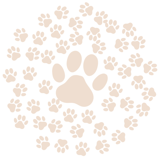 dog foot